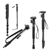 Imagen de categoría Monopies